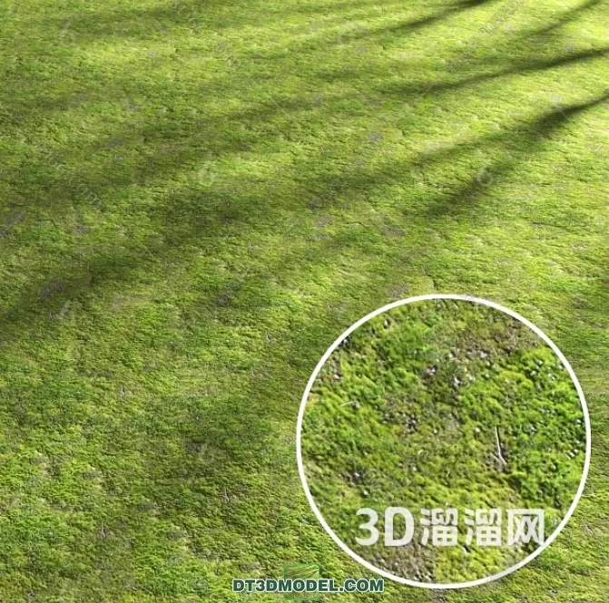 MATERIAL – TEXTURES – GRASS – 084