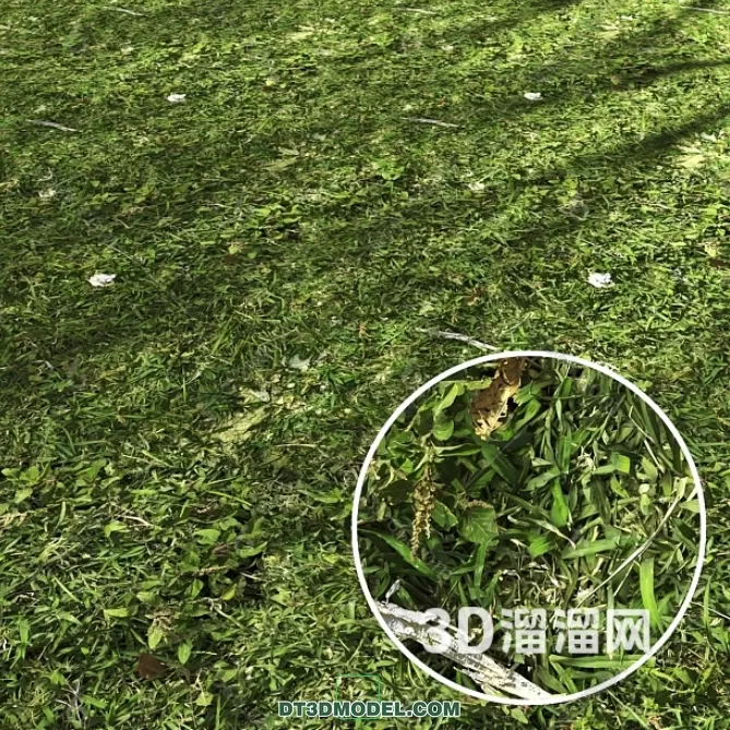 3D MODELS FREE DOWNLOAD