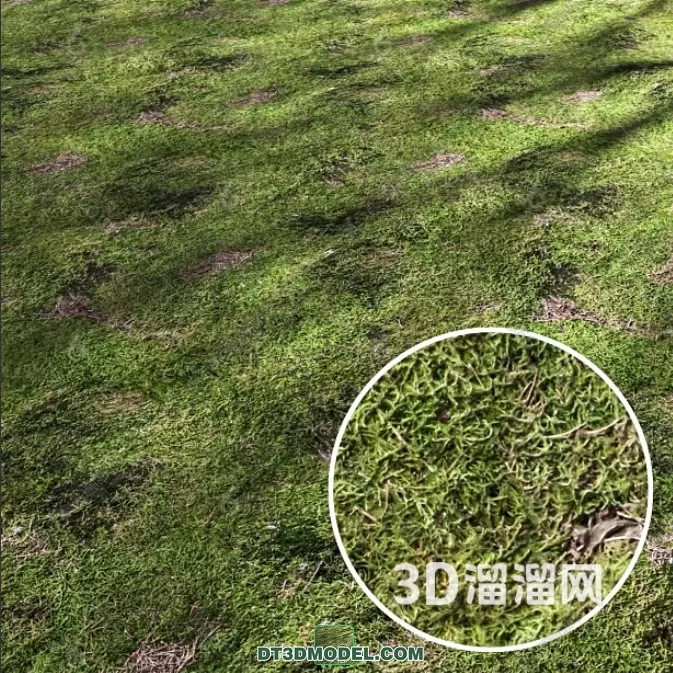 MATERIAL – TEXTURES – GRASS – 088