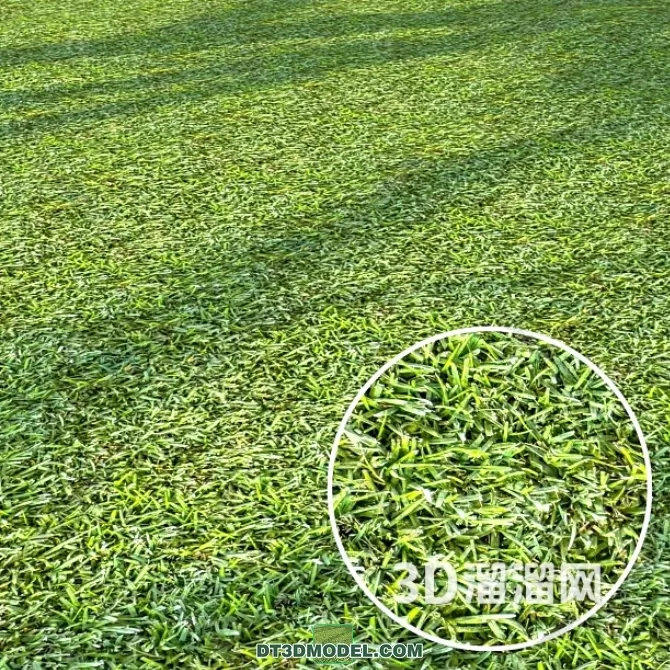 MATERIAL – TEXTURES – GRASS – 089
