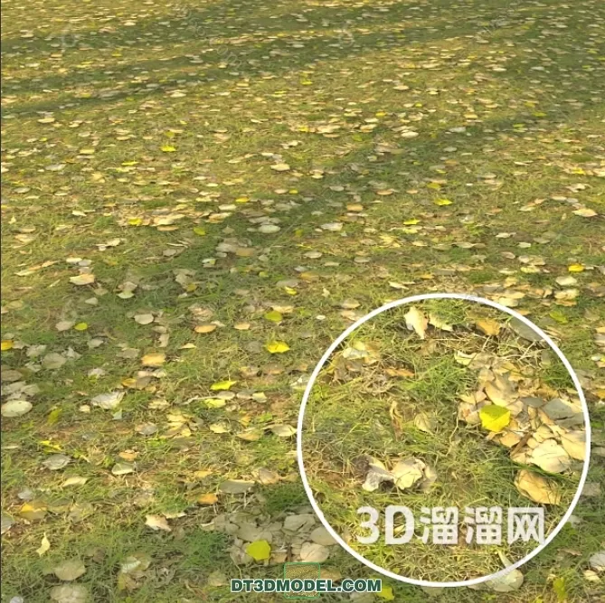 MATERIAL – TEXTURES – GRASS – 090