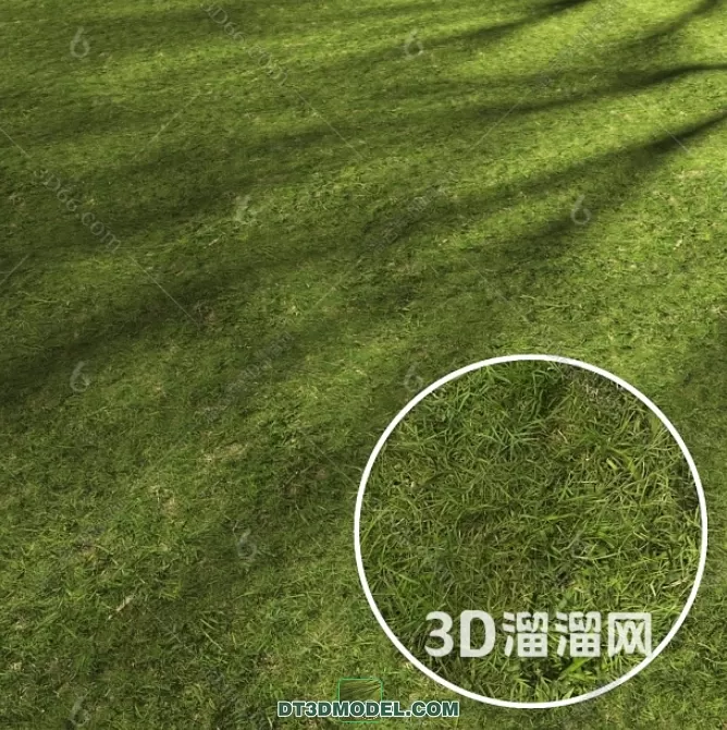 MATERIAL – TEXTURES – GRASS – 091