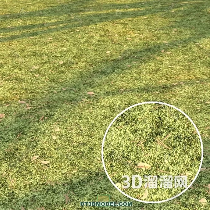 MATERIAL – TEXTURES – GRASS – 092