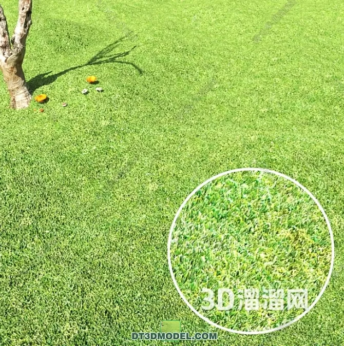 MATERIAL – TEXTURES – GRASS – 094