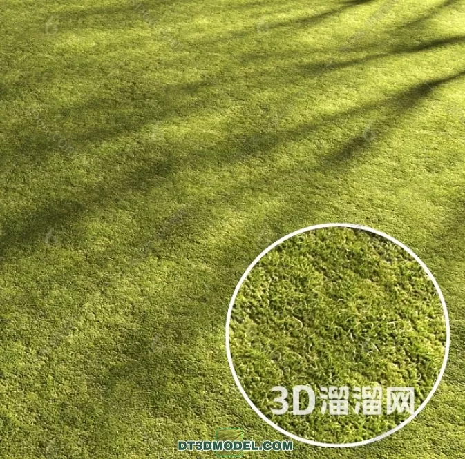 MATERIAL – TEXTURES – GRASS – 095