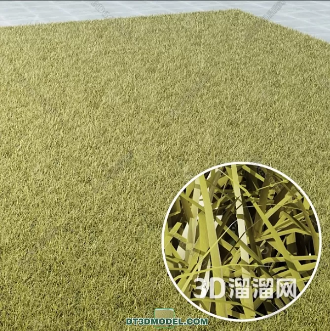 MATERIAL – TEXTURES – GRASS – 096