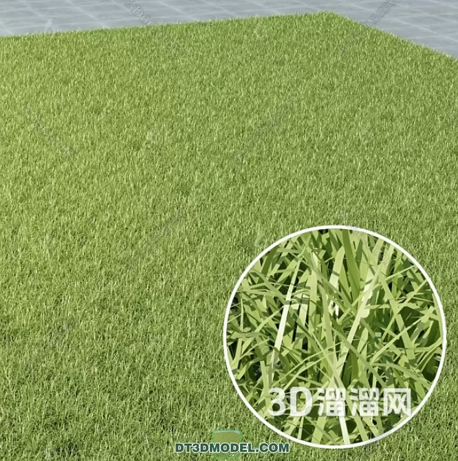 MATERIAL – TEXTURES – GRASS – 098