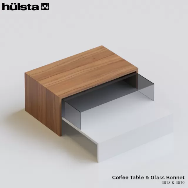 Coffee table and glass bonnet Hulsta – 211015