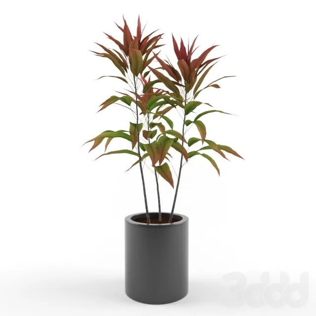 3D MODELS FREE DOWNLOAD