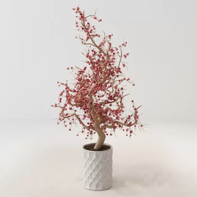 Decorative Bushes – 212085