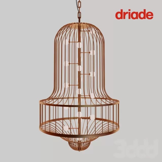 Driade luciola – 213117
