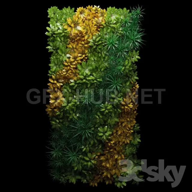 Fitostena – 214495