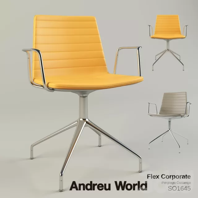 FLEX CORPORATE SO1645 – 214533