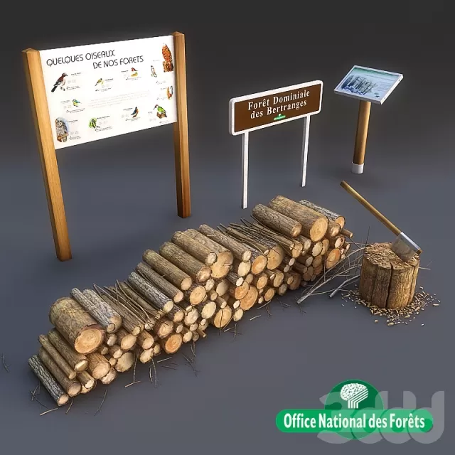 Foret dominiale – 214811