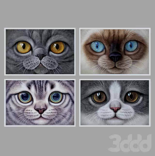 frame cat – 214913