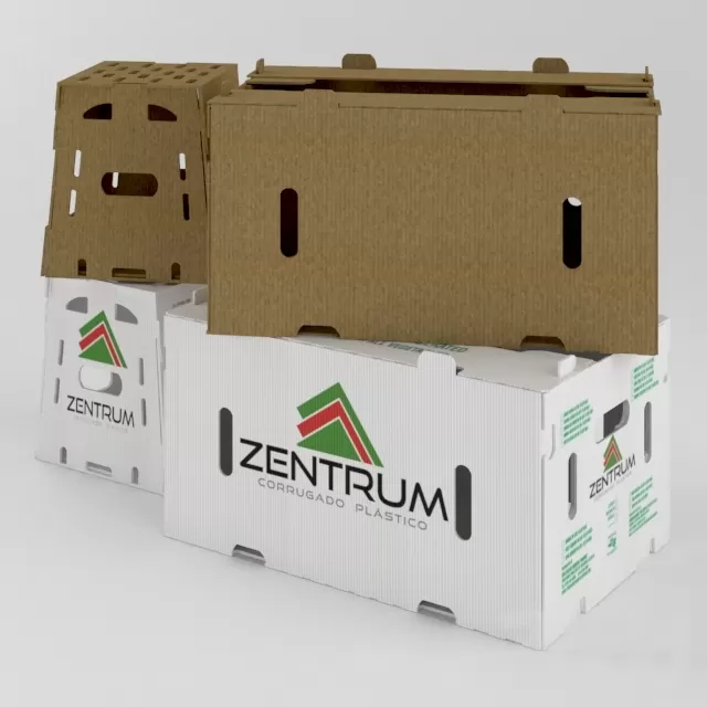 Fruit Box – 215039