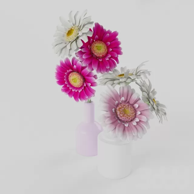 Gerbera – 215305