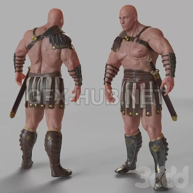 Gladiator – 215449