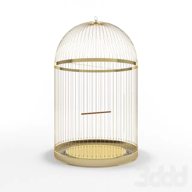 Golden cage – 215571