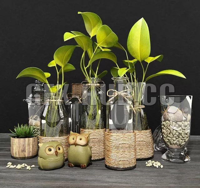 Green set 5 – 215847