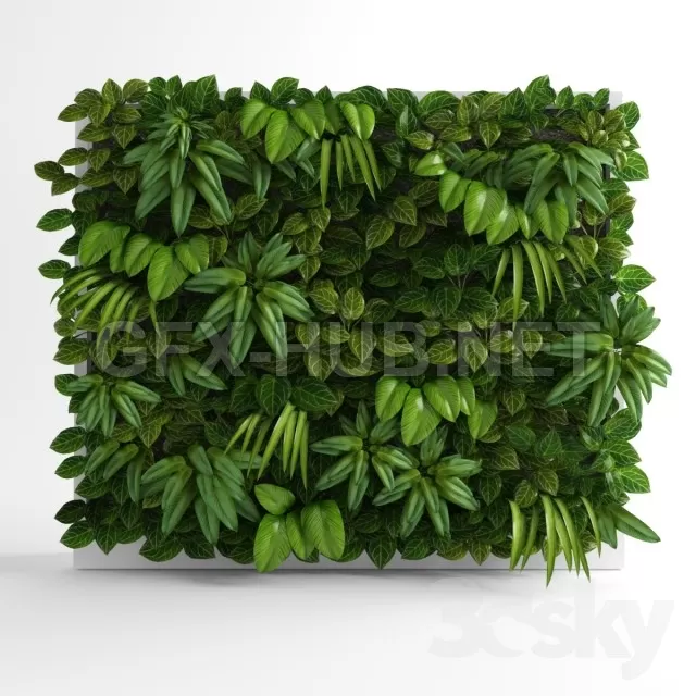 Green wall 03 – 215853