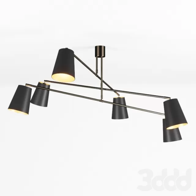 Heathfield Andromeda – 216247