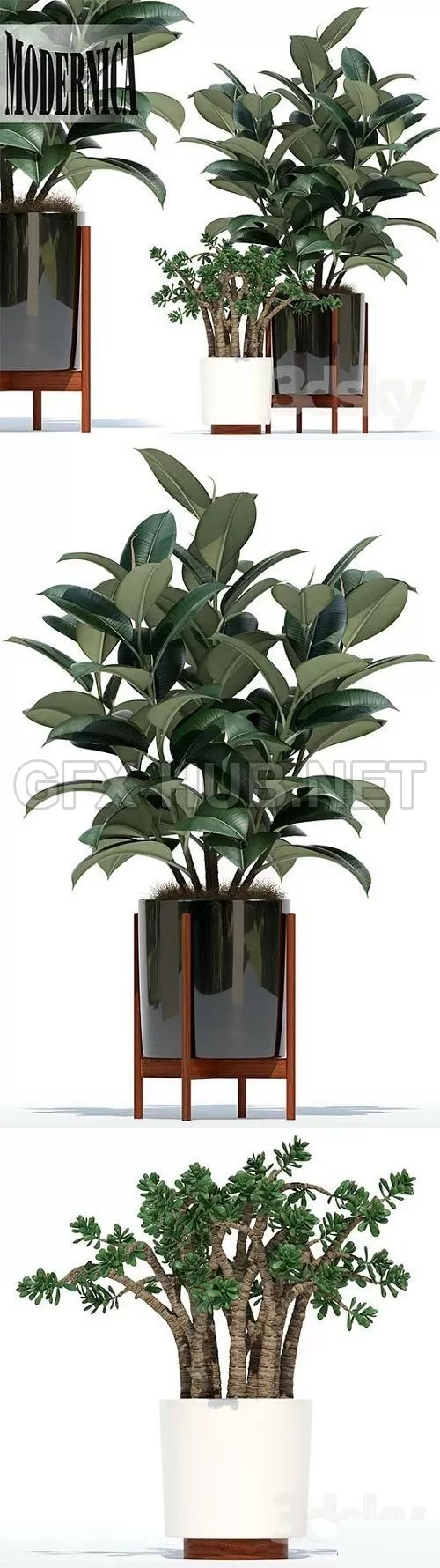 Home plants collection in a Modernica flowerpots – 216431