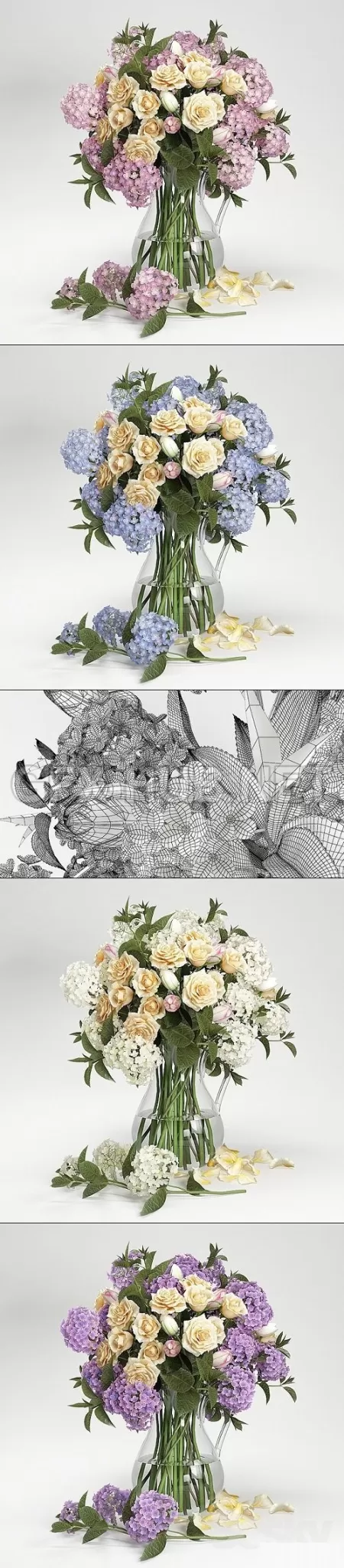 Hydrangea flowers – 216667