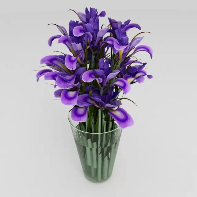 IRIS FLOWER – 217297