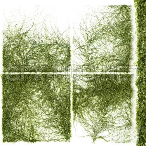 Leaves for walls v3 3D model – 218739