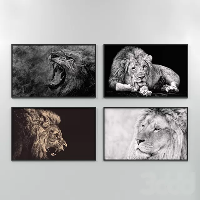 Lions – 219009