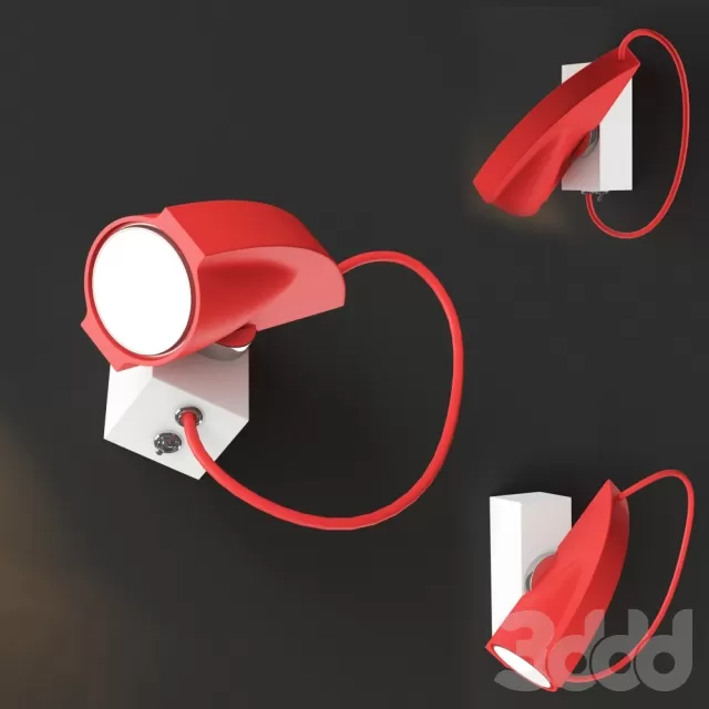 Modoluce Koala – 220713