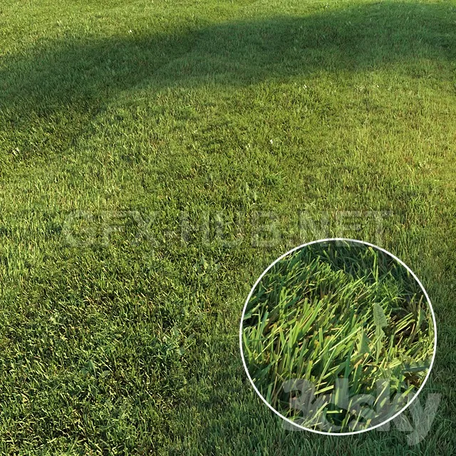Mowed lawn – 220903