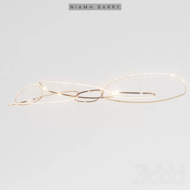 Niamh Barry – 221177