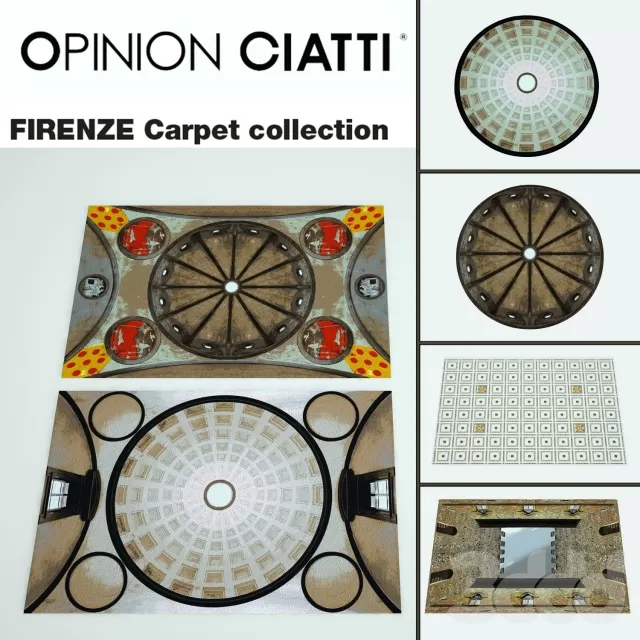 Opinion Ciatti Firenze carpets – 221813