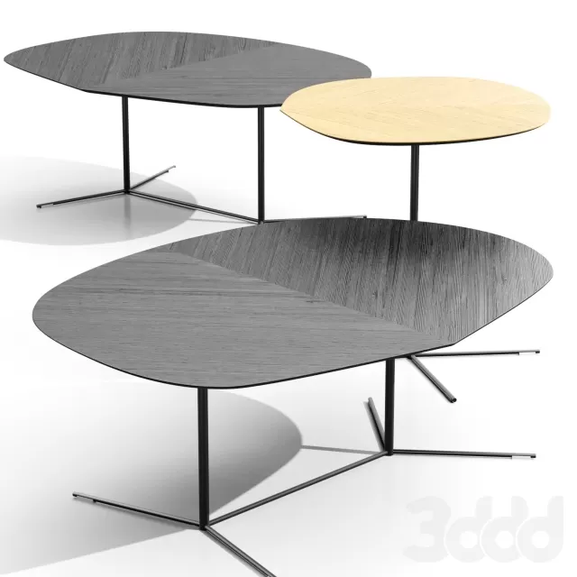 Paolalenti Ivy – 222093