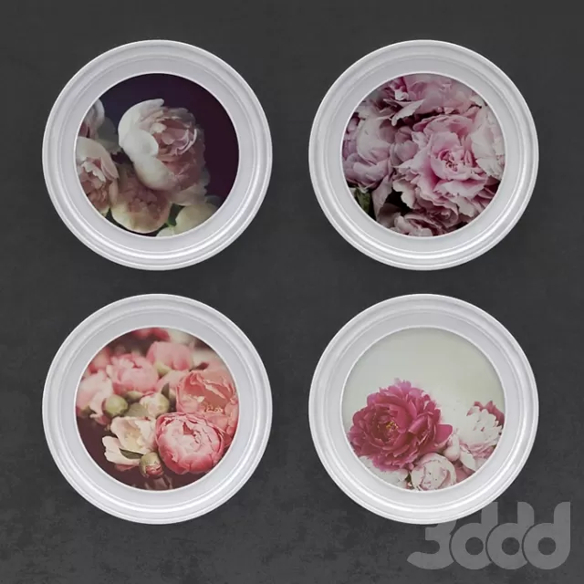 peonies picture – 222303