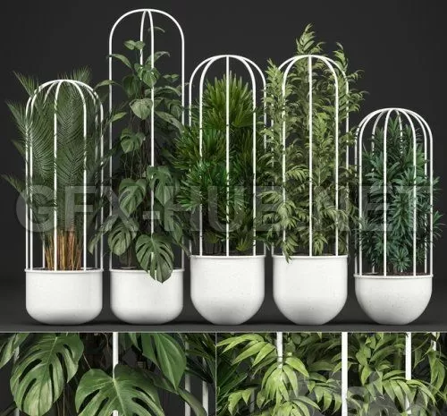 Plant collection 328 3D model – 222571