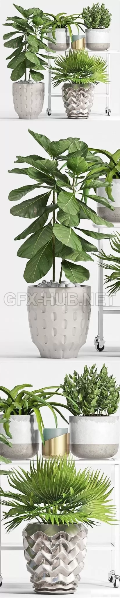 Plant set 53 3d Models – 222585
