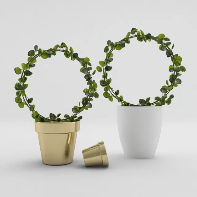 Plantagens – 222597