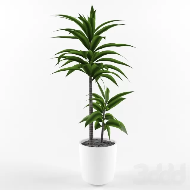 Potted Plant – 223063
