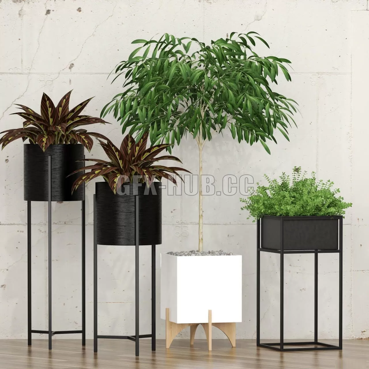 Potted plants 10 – 223065