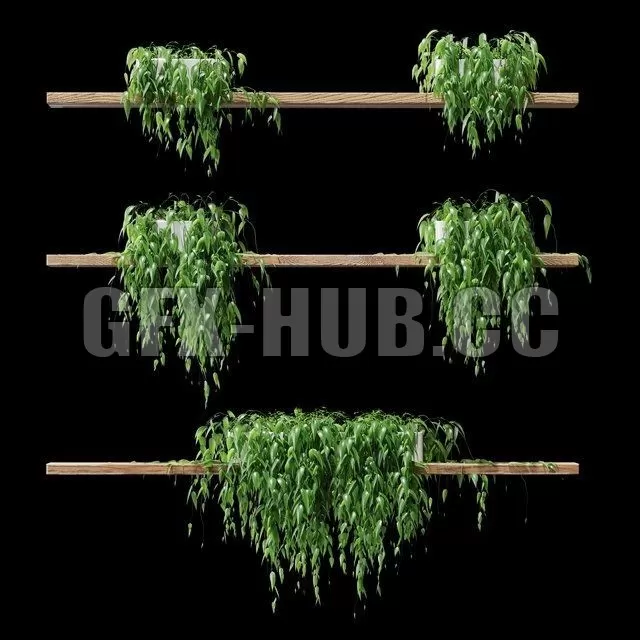 Potted plants on the shelves v2 – 223067