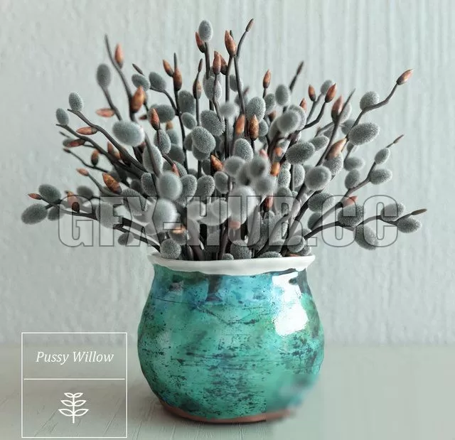 Pussy Willow Bouquet – 223337