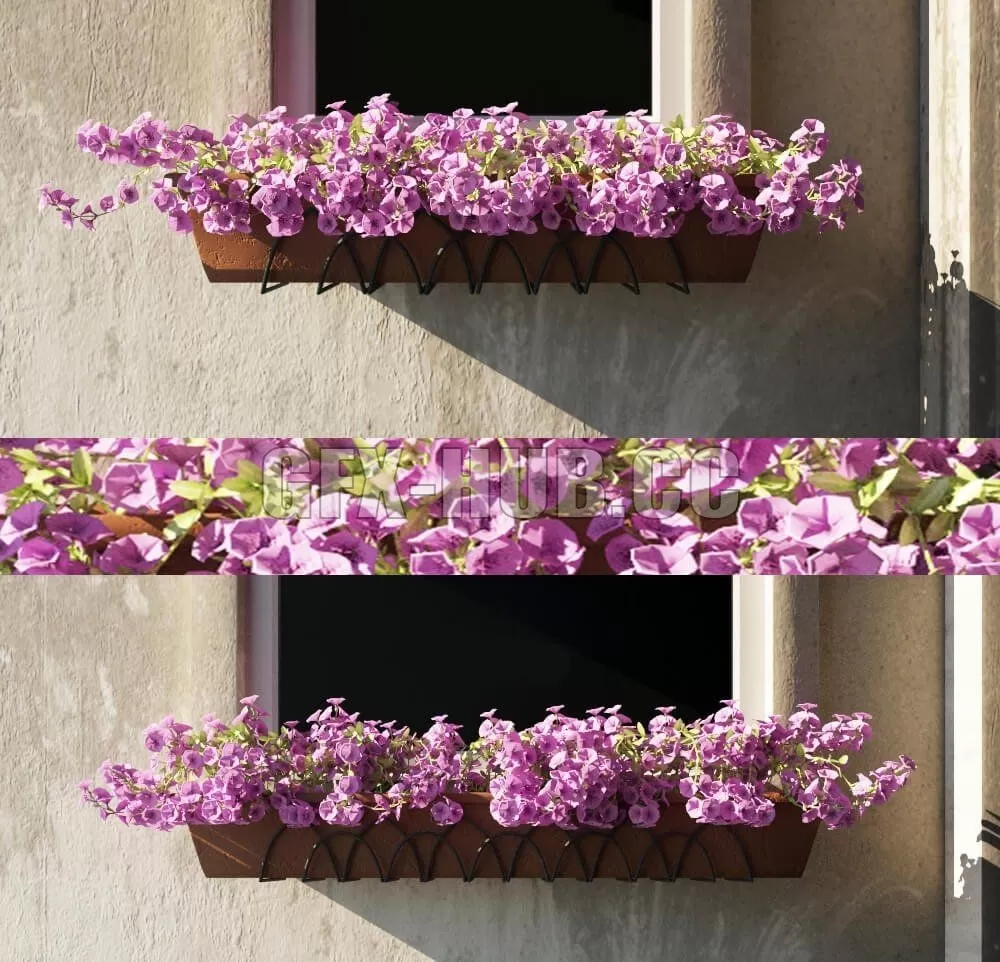 Queen of Autumn 09 – 223399