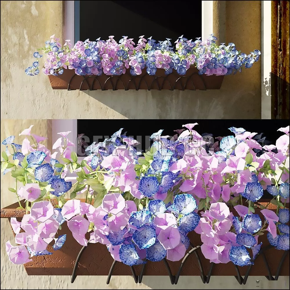 Queen of summer 02 – 223401