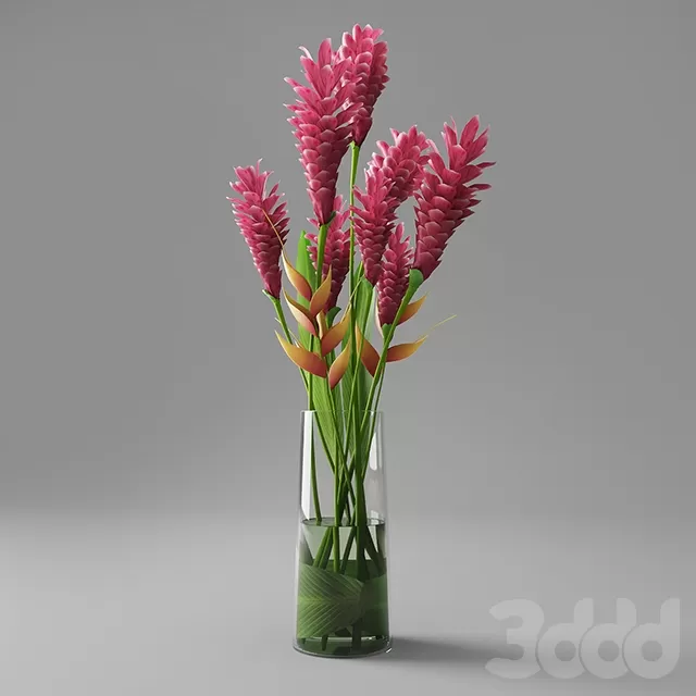 Red Ginger in Vase – 223573