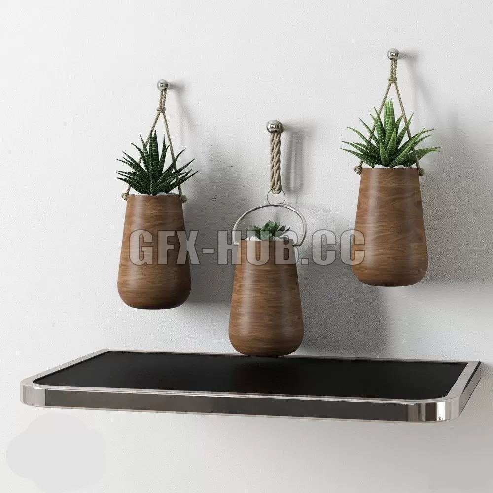 Redhome plants – 223583