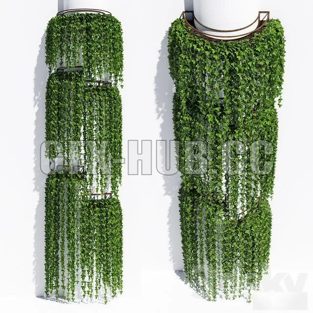 Round box ivy – 224225