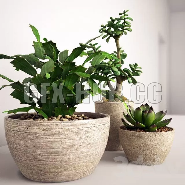 set of 4 colors – 224791